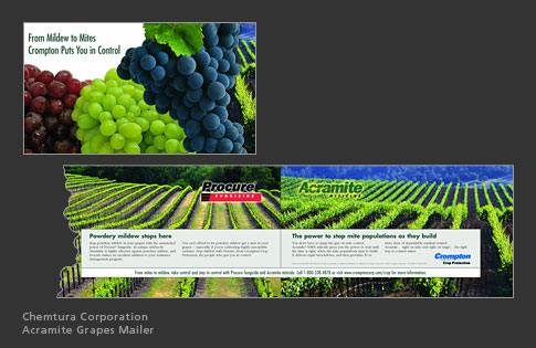 Chemtura Corporation Acramite Grapes Mailer